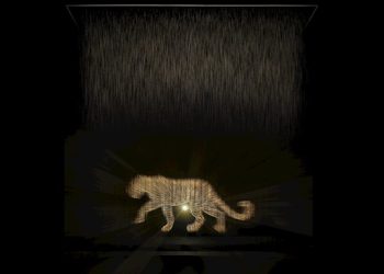 CARTIER’DEN SÜRÜKLEYİCİ BİR KOKU TECRÜBESİ